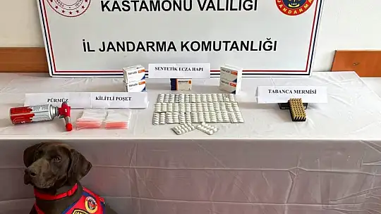 Kastamonu'da uyuşturucu operasyonu: 1 tutuklama