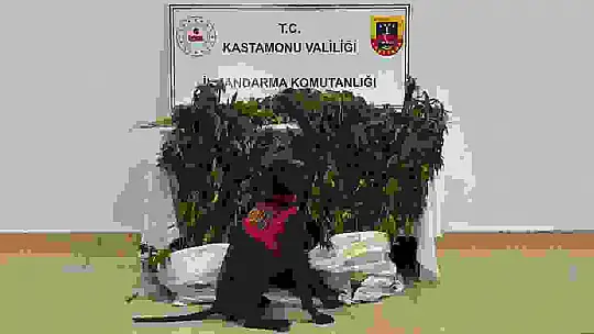 Uyuşturucu operasyonlarında yakalanan 3 şüpheli tutuklandı