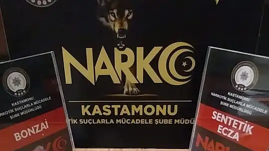 Kastamonu'da uyuşturucuyla yakalanan 2 şüpheli tutuklandı