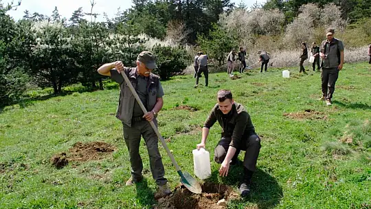 Kastamonu'da yaban hayatı için ormanlık alana fidan dikildi