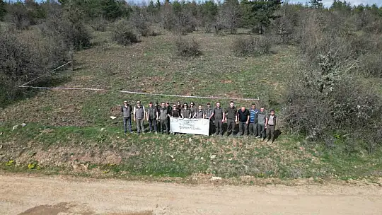 Kastamonu'da yaban hayatı için ormanlık alana fidan dikildi