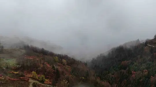 Kastamonu'da Yaralıgöz geçidinde sis nedeniyle görüş mesafesi düştü