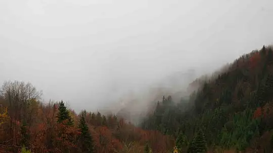 Kastamonu'da Yaralıgöz geçidinde sis nedeniyle görüş mesafesi düştü
