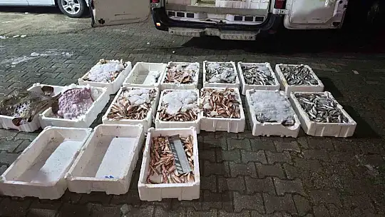 Kastamonu'da yasa dışı avlanan 1,5 ton balığa el konuldu