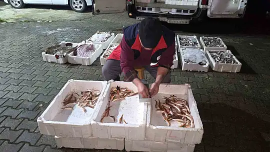 Kastamonu'da yasa dışı avlanan 1,5 ton balığa el konuldu