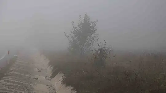 Kastamonu'da yoğun sis etkili oluyor