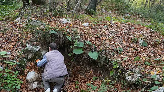 Kastamonu'daki gizemli yer altı yapıları definecilerin talanına uğradı
