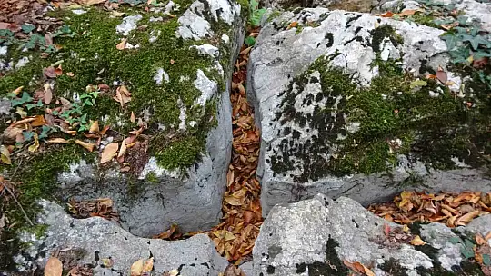 Kastamonu'daki gizemli yer altı yapıları definecilerin talanına uğradı