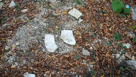 Kastamonu'daki gizemli yer altı yapıları definecilerin talanına uğradı