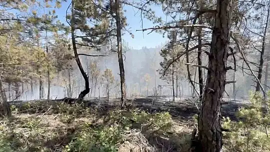 Kastamonu'daki orman yangını söndürüldü