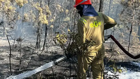 Kastamonu'daki orman yangını söndürüldü