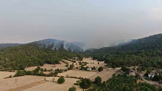 Kastamonu'daki orman yangınına müdahale böyle görüntülendi
