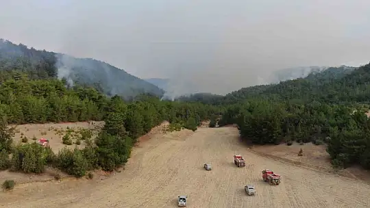 Kastamonu'daki orman yangınına müdahale böyle görüntülendi