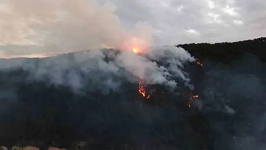 Kastamonu'daki orman yangınına müdahale sürüyor
