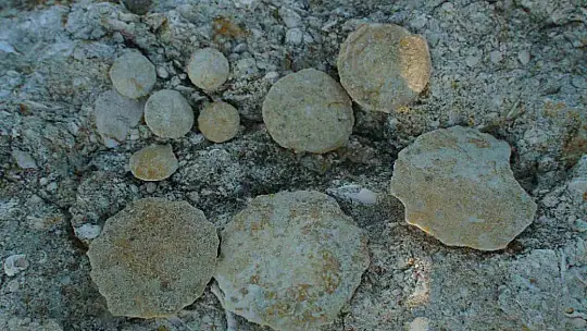 Kastamonu Güney Karadeniz Jeoparkı için resmi başvuru yapıldı