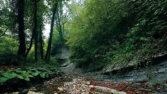 Kastamonu Güney Karadeniz Jeoparkı için resmi başvuru yapıldı