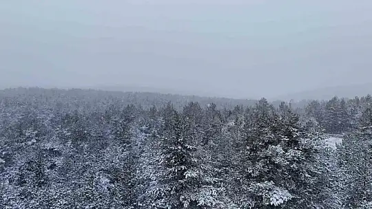 Kastamonu'nun yüksek kesimlerinde yoğun kar yağışı