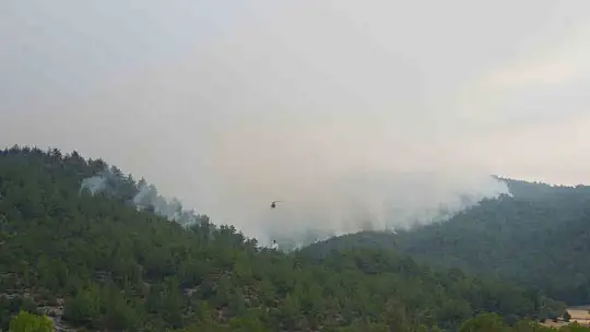 Kastamonu orman yangınları üçüncü gününde