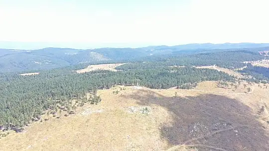 Kastamonu ormanları yangınlardan gözetleme kuleleri ve dronlarla korunuyor