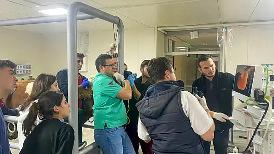 Kastamonu Üniversitesi'nde 5 ayda 334 hayvan tedavi edildi