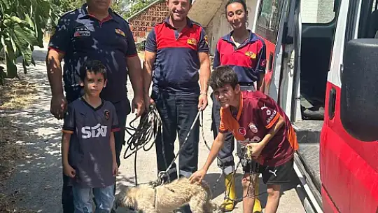 Kayalıkta mahsur kalan köpeği itfaiye ekipleri kurtardı