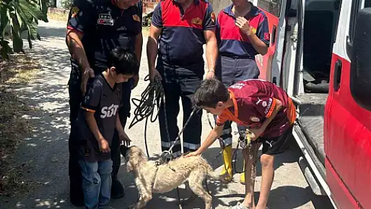 Kayalıkta mahsur kalan köpeği itfaiye ekipleri kurtardı