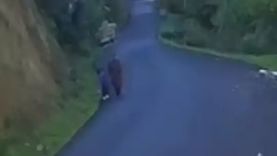 Kayıp anne ve oğluna ait yeni görüntü ortaya çıktı