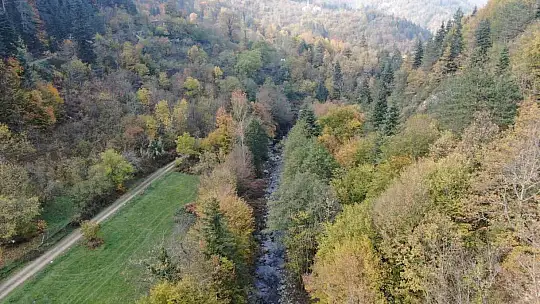 Kayıp anne ve oğlunu arama çalışmaları devam ediyor