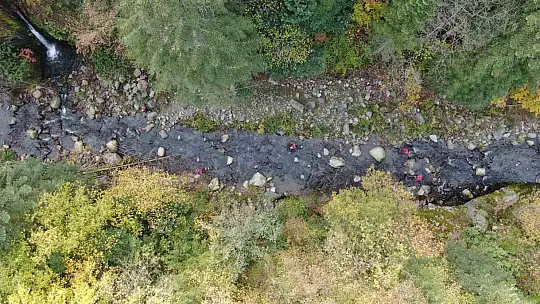 Kayıp anne ve oğlunu arama çalışmaları devam ediyor