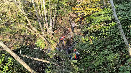 Kayıp annenin cesedini kuzgunu takip eden vatandaşlar bulmuş