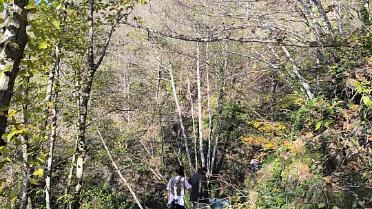 Kayıp annenin cesedini kuzgunu takip eden vatandaşlar bulmuş