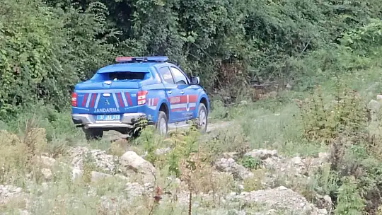 Kayıp vatandaşları arayan İHA muhabiri de ormanda kayboldu: