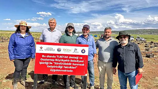 KBÜ, sarımsakta Fusarium hastalıklarına karşı bilimsel çözüm geliştirdi