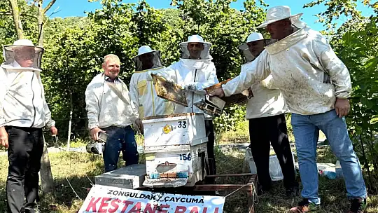 Kestane balı hasadı Çaycuma'da gerçekleştirildi