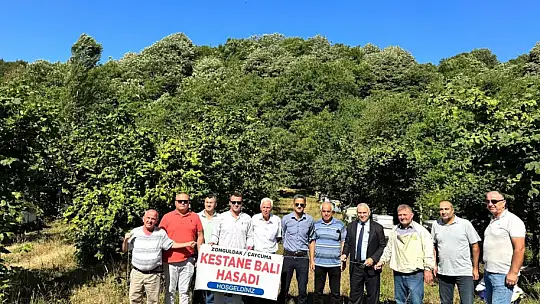 Kestane balı hasadı Çaycuma'da gerçekleştirildi