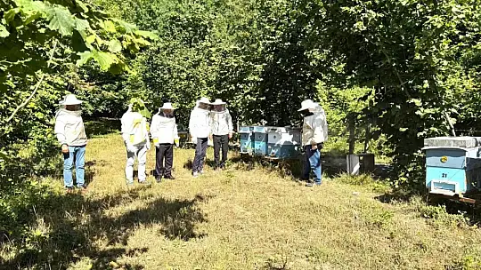Kestane balı hasadı Çaycuma'da gerçekleştirildi