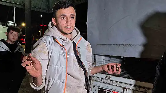 Kestane rekoltesi kuraklık sebebiyle düştü