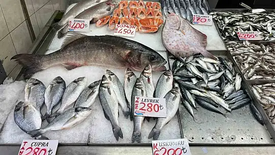 Kilosu bin liradan tezgaha indi, ilgi odağı oldu