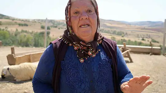 Kırıkkale'de iki ayrı besicinin 210 hayvanı telef oldu: 63 yaşındaki kadın gözyaşlarını tutamadı