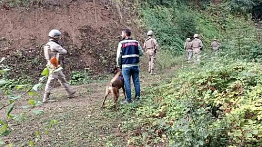 Komandolar yaylalarda didik didik arama yaptı