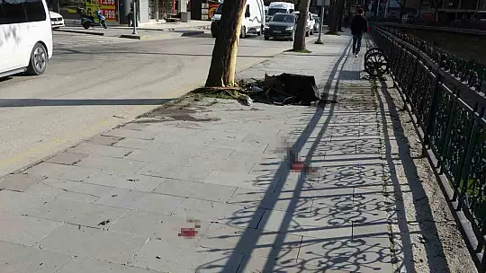 Feci kaza: 1 ölü, 1 yaralı