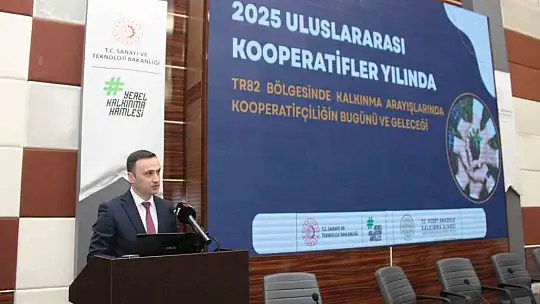 Kooperatifçiliğin bugünü ve geleceği Kastamonu'da masaya yatırıldı