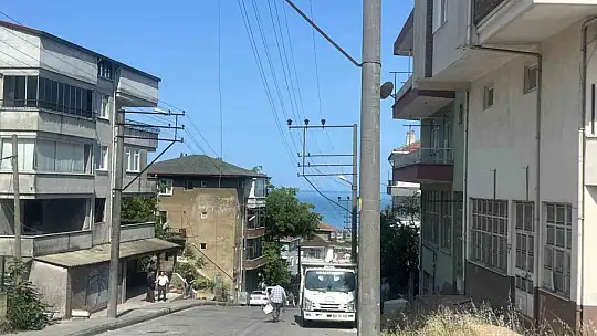 Kopan elektrik telleri otları, otlarda aracı yaktı