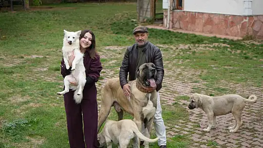 Köpek sevgisi mesleğini değiştirmesine sebep oldu, babasıyla kendi işini kurdu