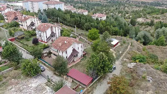 Köpek sevgisi mesleğini değiştirmesine sebep oldu, babasıyla kendi işini kurdu