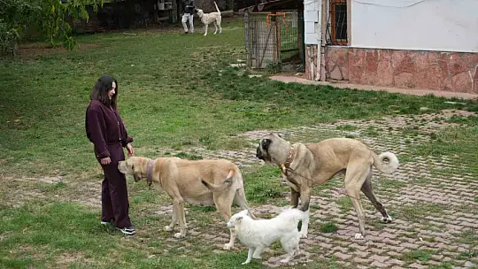 Köpek sevgisi mesleğini değiştirmesine sebep oldu, babasıyla kendi işini kurdu
