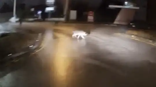 Köpeklerin kovaladığı genci korna sesiyle kurtarmıştı,