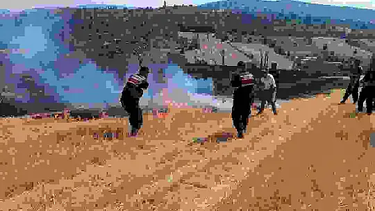Korkutan anız yangını havadan ve karadan müdahaleyle kontrol altına alındı