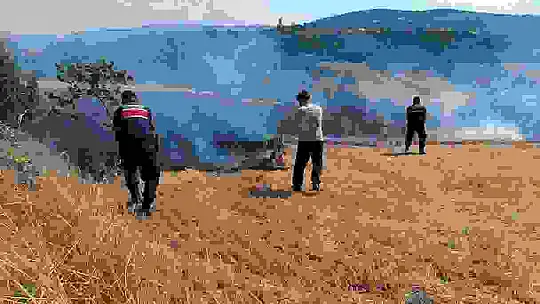 Korkutan anız yangını havadan ve karadan müdahaleyle kontrol altına alındı