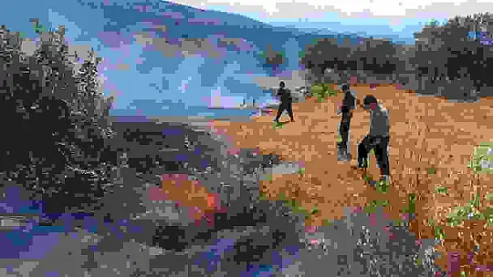 Korkutan anız yangını havadan ve karadan müdahaleyle kontrol altına alındı